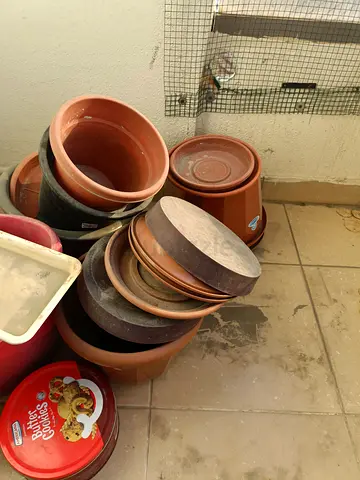Plant pots
