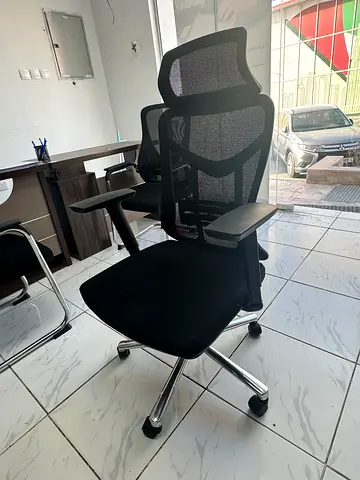 Ergonomic Mesh Office Chair with Adjustable Headrest and Armrests