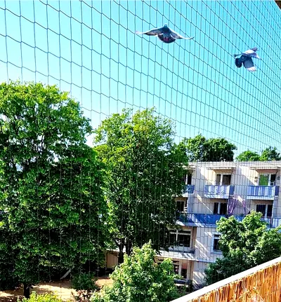 Bird Net for Balcony / Plant Protection