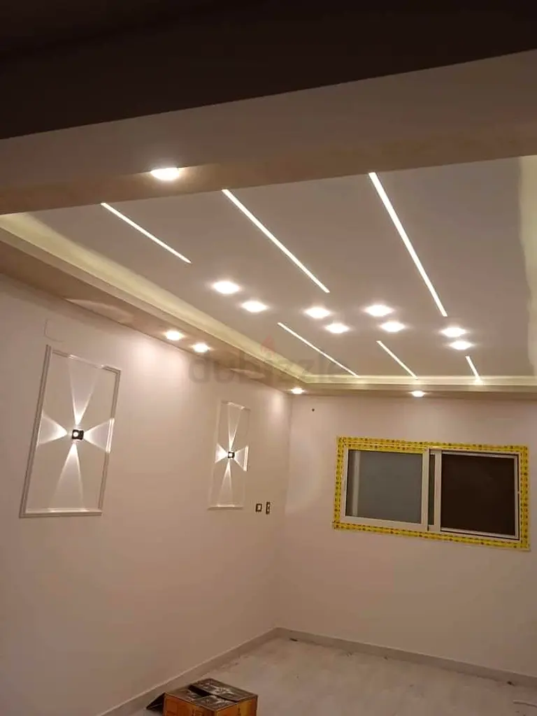DPV_View_Image_2