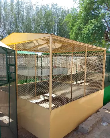 New Large Outdoor Bird Aviary / Flight Cage - Solid Build, Ready to Use