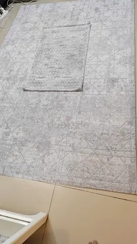Big Carpet with small rug
