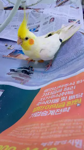 Friendly Cocktail