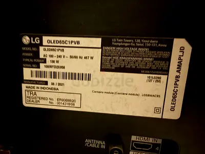 LG OLED65C1 65-inch OLED TV (Model OLED65C1PVB) - Panel is faulty