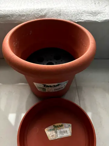 Plastic Plant Pot, 20 AED