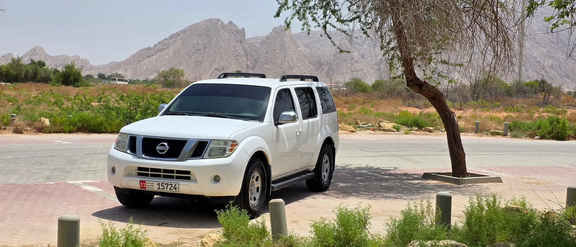 Nissan Pathfinder 2009 — photo 1 of 5