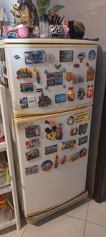 Used Double-Door Refrigerator (White) without Magnets