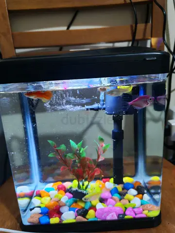 Small 3L or 4L Aquarium Tank with Filter, LED Light  Decorative Gravel
