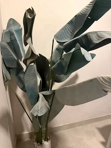 artificial plant