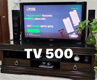 Samsung Flat Panel TV Speakers - Good Working Condition