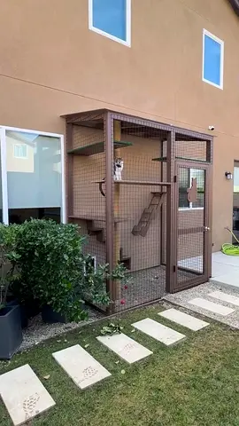 New Large Outdoor Cat Enclosure / Catio