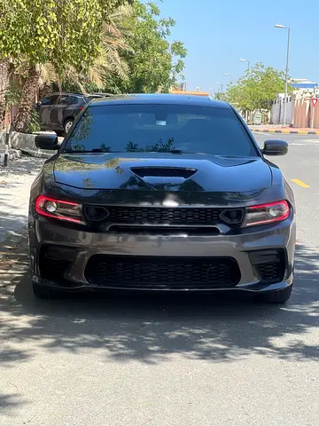 2019 Dodge CHARGER 照片 3
