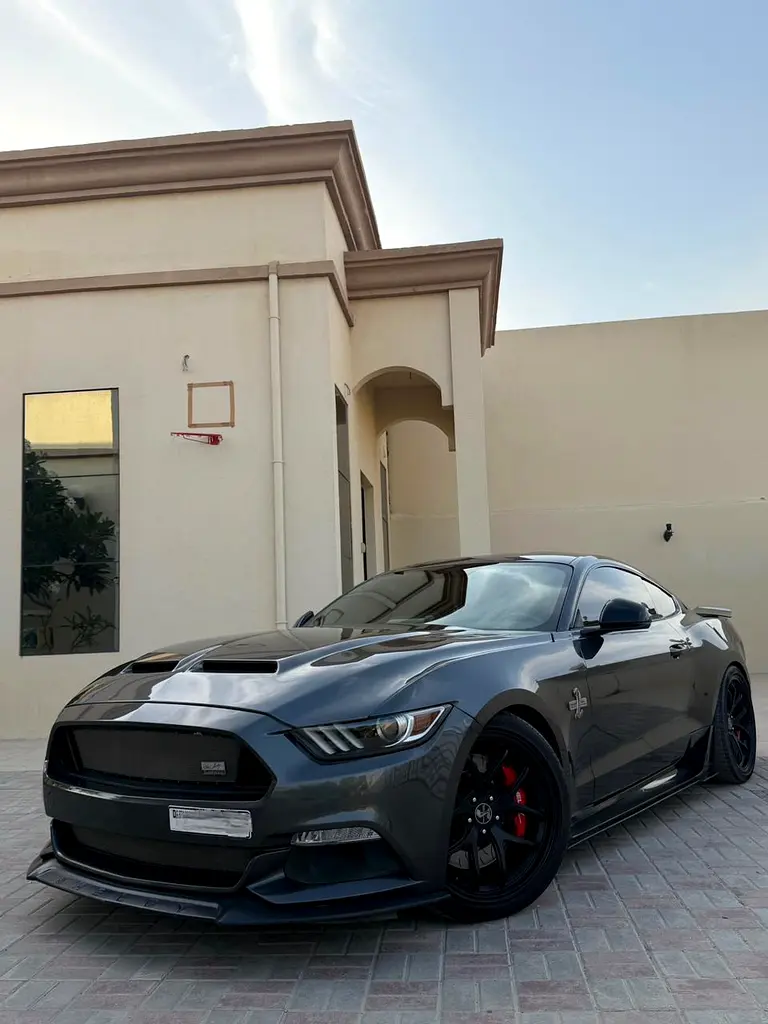 Ford Mustang 2017 — photo 1 of 11