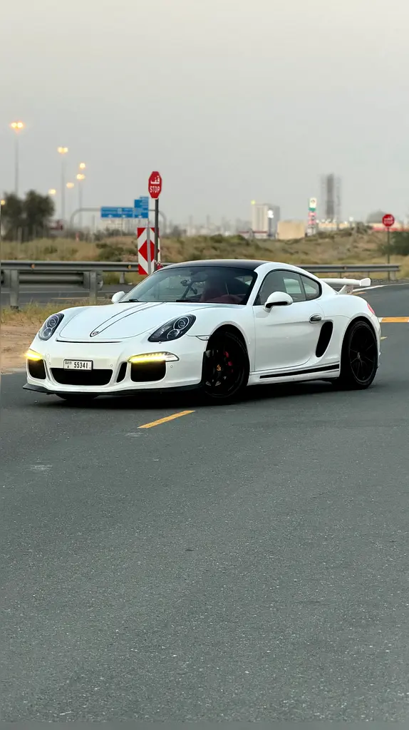 Porsche Cayman 2014 — photo 1 of 9