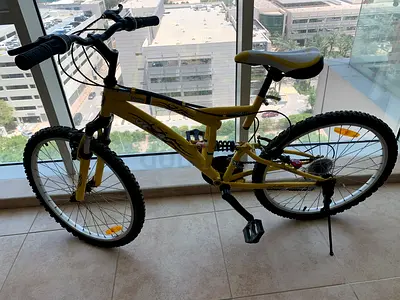 Aed 200 for Adult Bicycle