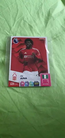 Mohamed Salah Liverpool Panini Sticker/Card - Collectors Item