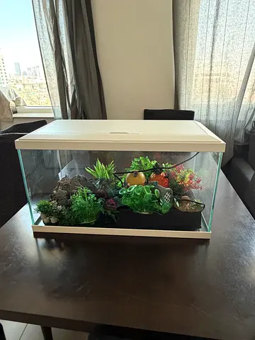 60 Ciano aquarium for sale