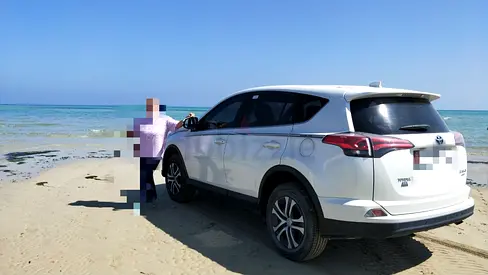 Toyota RAV4 2018