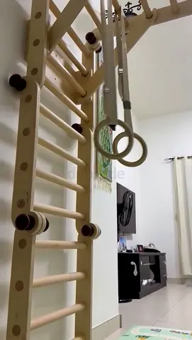 Pikler Jungle Gym from Bloon toys with Gymnastics Rings and Disc Swing

Ages 2 - 10