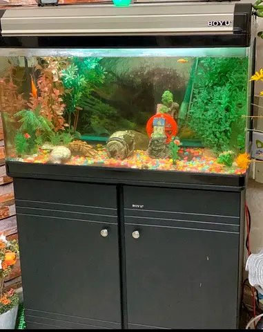 Boyu 4ft Aquarium Tank with Cabinet and Accessories - Ready to Use