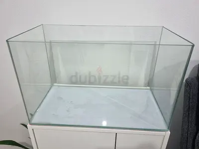 Fish Tank with Small Filter