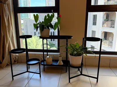3 Plant Stands IKEA – AED 60 (AED 25 Each)