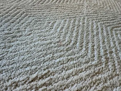 Used Carpet