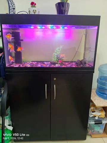 120cm Home Aquarium with Cabinet and Accessories - Ready to Use
