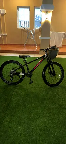 Spartan bike
