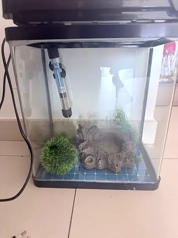Small Glass Terrarium/Tank with Heater and Decorations - Good Condition