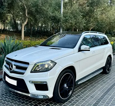 2016 Mercedes-BENZ GL 照片 10