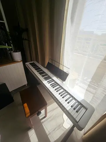 Casio digital piano