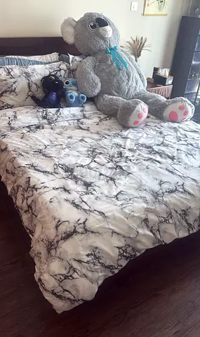 Queen Bed with Mattress