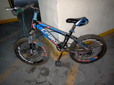 Cycle Children bike