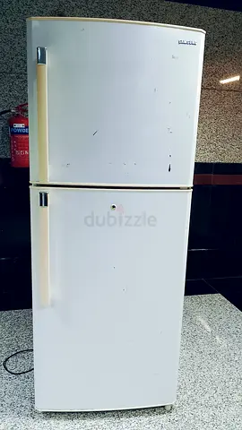 Samsung King Size Fridge