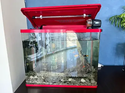 Fish tank