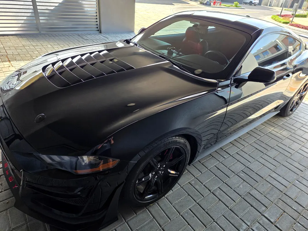 Ford Mustang 2019 — photo 1 of 7