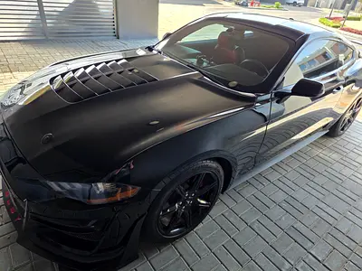 Mustang Ecoboost low millage for sale