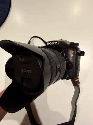 Sony a77 / 16-50ssm2.8