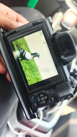 Canon eos m50
