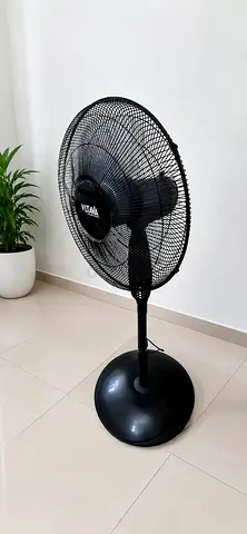 Fan