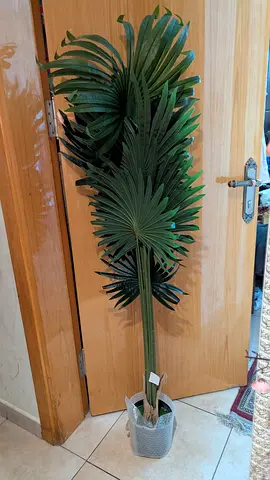 Tall Artificial Palm Plant in Decorative Pot - Good Condition