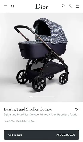 baby stroller Dior