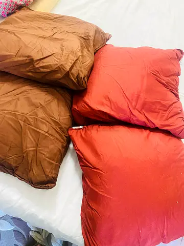 Cushion