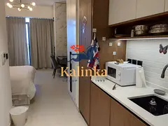 Fully Furnished | Vacant | Premium Unit