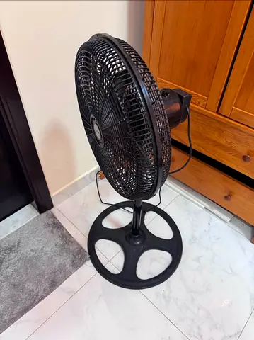 Standing Fan
