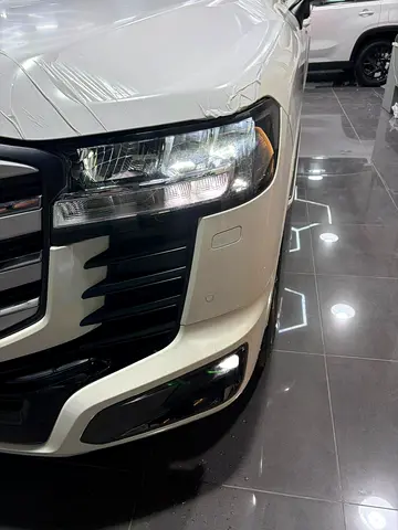 2026 Toyota LAND CRUISER 照片 17