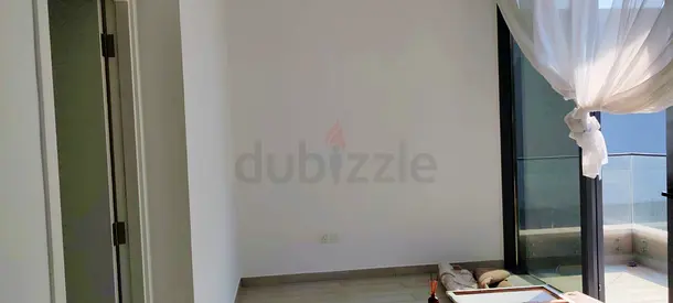 I am in painter professional