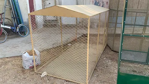 Large outdoor metal dog cage with roof
