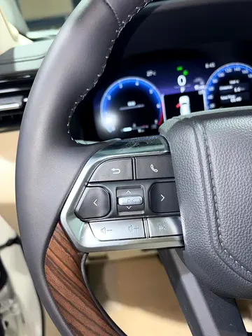 2026 Toyota LAND CRUISER photo 9